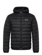 Down Jacket Black EA7