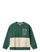 Sweatshirt L/S Steff Green Wheat