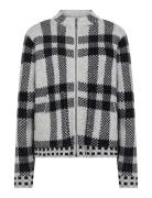 Sc-Vibsa Grey Soyaconcept