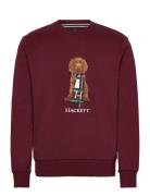 Heritage Harry Crew Burgundy Hackett London