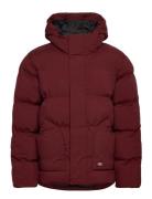 M Eagleville Hooded Puffer Burgundy Dickies