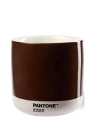 Pant Latte Thermo Cup Brown PANT