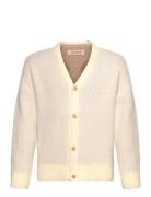 Yellow Racoon Cardifan Cream THE ANIMALS OBSERVATORY