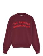 Browned Farnet Leo Sweatshirt Burgundy THE ANIMALS OBSERVATORY