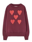 Hearts Browned Farnet Bear Sweatshirt Burgundy THE ANIMALS OBSERVATORY