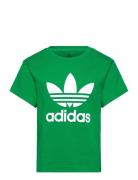 Trefoil Tee Green Adidas Originals