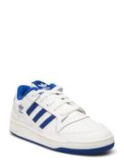 Forum Low Cl C White Adidas Originals