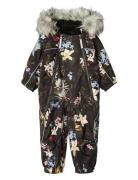 Pyxis Fur Black Molo