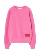 Brifht Pink Shark Sweatshirt Pink THE ANIMALS OBSERVATORY