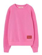 Brifht Pink Shark Sweatshirt Pink THE ANIMALS OBSERVATORY