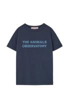 Navy Orion T-Shirt Navy THE ANIMALS OBSERVATORY