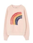 Rainbow Shark Sweatshirt Pink THE ANIMALS OBSERVATORY