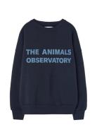 Navy Leo Sweatshirt Navy THE ANIMALS OBSERVATORY