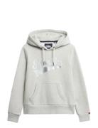 Super Athletics Hood Grey Superdry