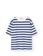 Stripes Navy Collie T-Shirt Blue THE ANIMALS OBSERVATORY