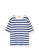 Stripes Navy Collie T-Shirt Navy THE ANIMALS OBSERVATORY
