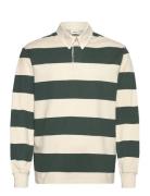 Sdsherman Cream Solid