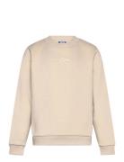 Jjjin Sweat Crew Neck Mni Beige Jack & J S
