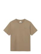 Wwace Brown WOOD WOOD