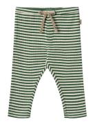 Jersey Pants Manfred Green Wheat