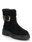 Lodge Black Steve Madden