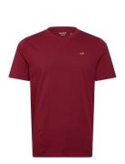 Icon Crew Knit T Shirt Burgundy Hollister