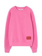 Brifht Pink Shark Sweatshirt Pink THE ANIMALS OBSERVATORY