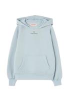 Flowers Blue Beaver Hoodie Blue THE ANIMALS OBSERVATORY