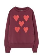 Hearts Browned Farnet Bear Sweatshirt Burgundy THE ANIMALS OBSERVATORY