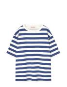 Stripes Navy Collie T-Shirt Navy THE ANIMALS OBSERVATORY