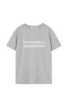 Frey Orion T-Shirt Grey THE ANIMALS OBSERVATORY