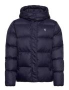 Down Hooded Jacket Navy Ralph Lauren Kids