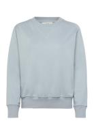 Raglan Crew Sws Blue Lee Jeans