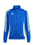 Tiro24 Trjkty Blue Adidas Performance