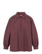 Sloan Organic Garment Dyed Poplin Burgundy Rue De Tokyo