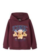 Nkfrycca Ls Nreg Sweat Wh Bru Box Burgundy Name It