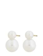 Globe Studs Gold Edblad