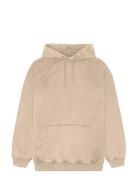 Wbpaw Washed Hoodie Beige Woodbird
