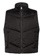 Berolino2531 Black HUGO