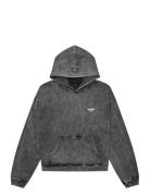 Isnurh Basement Relax Hoodie Grey Isnurh