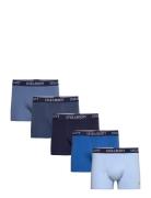 Miller Blue Lyle & Scott