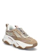 Possession-E White Steve Madden