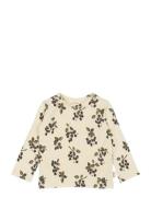 T-Shirt L/S Printed Cream Petit Piao