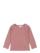 Ppdante T-Shirt L/S Meriono Wool Pink Petit Piao