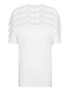 4Pk Basic Tee S/S White Lindbergh