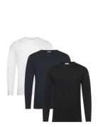 3Pk Basic Tee L/S Patterned Lindbergh