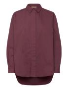 Shelby Organic Garment Dyed Poplin Burgundy Rue De Tokyo