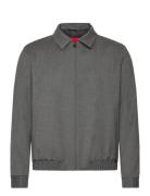 Hellys241F1X Grey HUGO