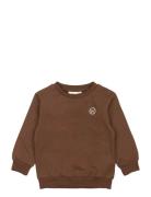Tnstlegend Sweatshirt Brown The New