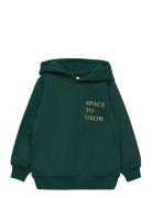 Tnmalik Hoodie Green The New